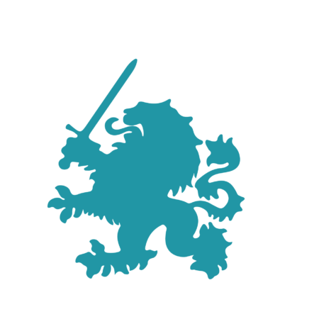 Dekokissen-Set Dragon 2 Silhouette