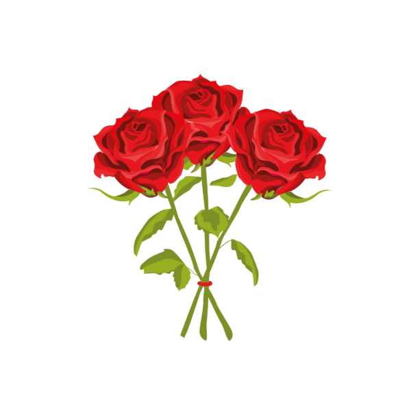 Dekokissen-Set Drei Rote Rosen
