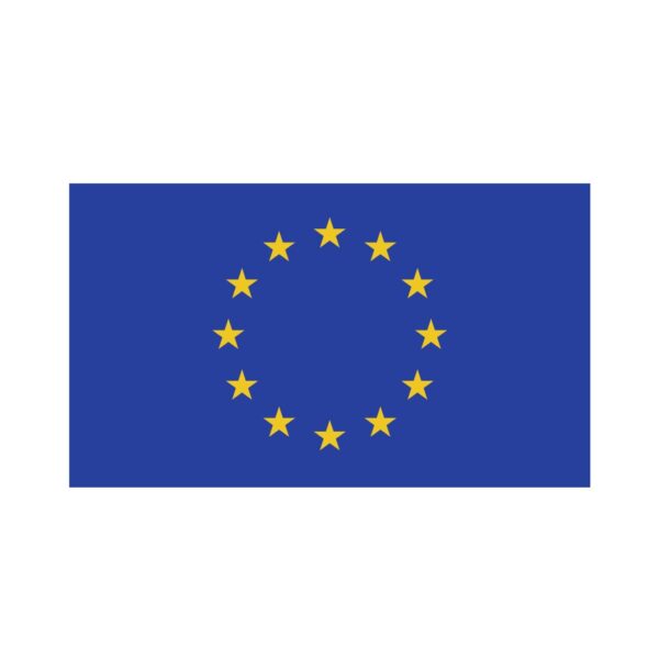 Kinder T-Shirt EU Flagge