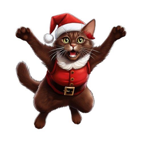 Baby- Body Set 3teilig Santa Cat