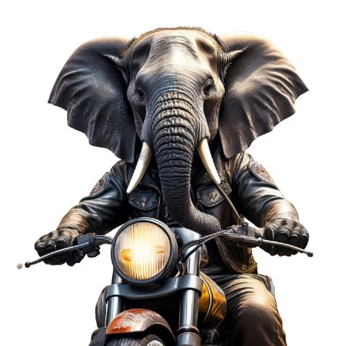 Kinder T-Shirt Elefant auf Motorrad