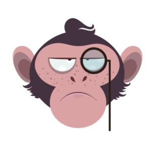Kinder T-Shirt Monkey 6