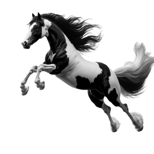 Kinder T-Shirt Irish Tinker Horse