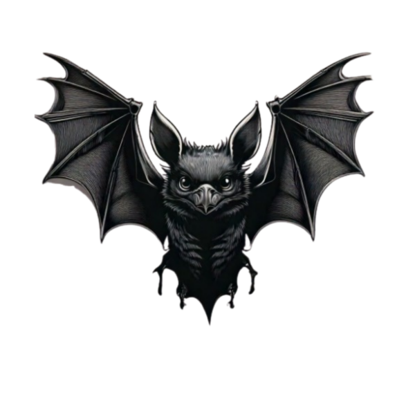 Kinder T-Shirt Black Bat 2