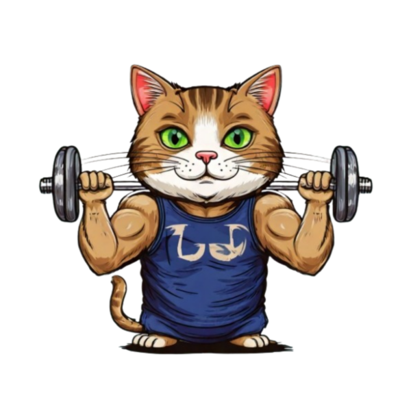 Kinder T-Shirt Pumping-Cat