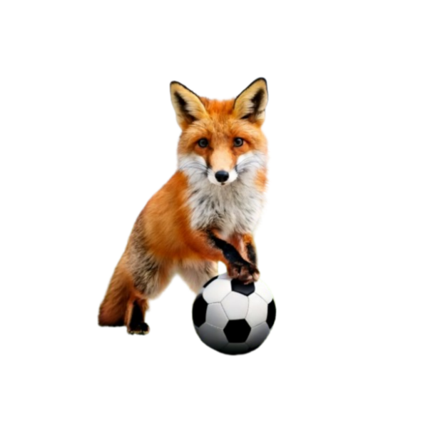 Kinder T-Shirt Fussball-Fuchs