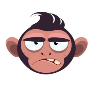 Kinder T-Shirt Monkey 2