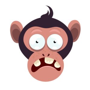 Kinder T-Shirt Monkey 4