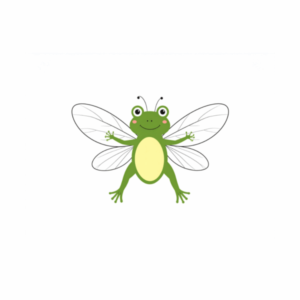 Dekokissen-Set The Fairy Frog