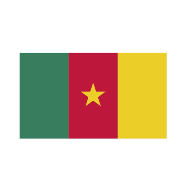 Turnbeutel Kamerun Flagge
