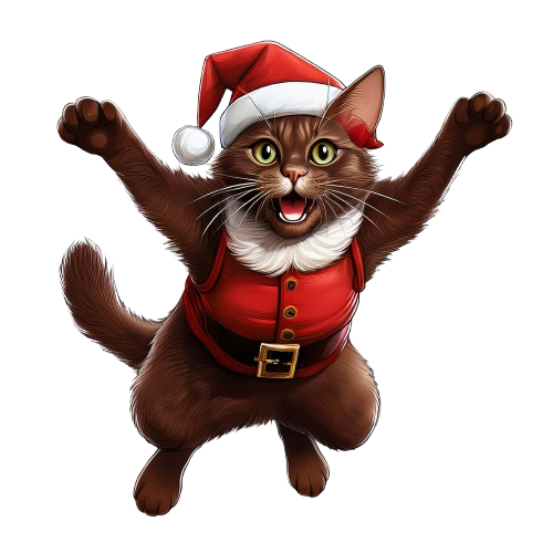 Turnbeutel Santa Cat