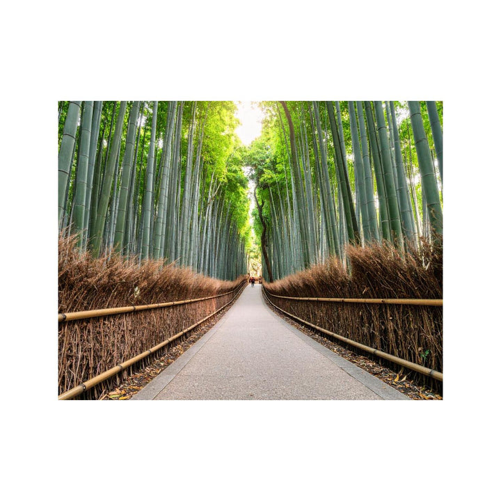 Dekokissen-Set Arashiyama Bambushain