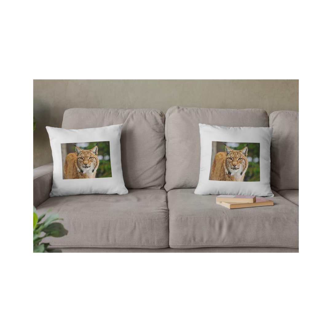 Dekokissen-Set Luchs 2
