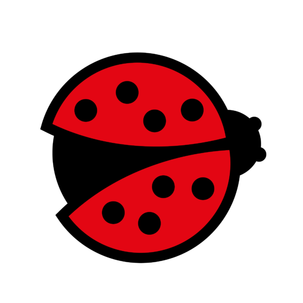 Schulrucksack-Set Marienkäfer