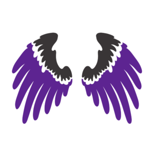 Schulrucksack-Set Wings DS