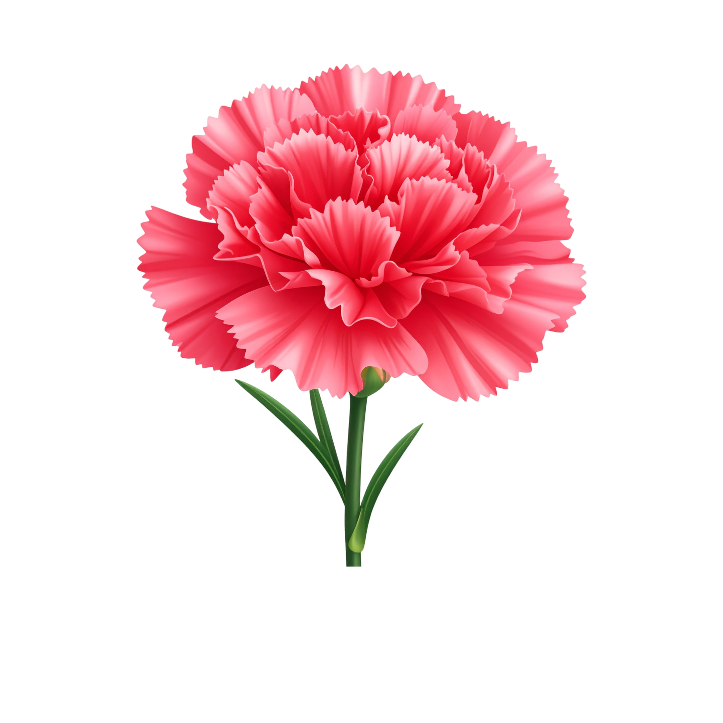 Schulrucksack-Set wunderschöne realistische Nelke 2