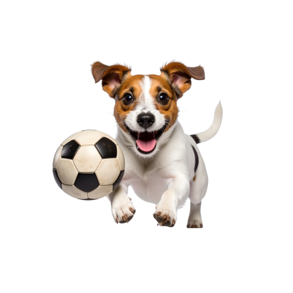 Turnbeutel Comic Soccer Dog