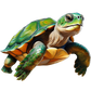 Baby Body Schildkröte