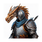 Kinder T-Shirt Ritter mit Drachen