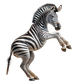 Kinder T-Shirt Süsses Zebra Springt