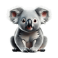 Baby Body Koala