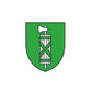 Kinder T-Shirt Wappen Kanton St. Gallen