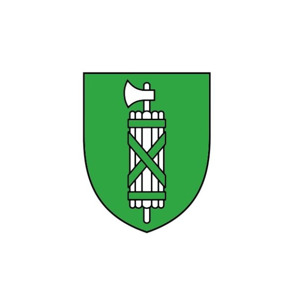 Kinder T-Shirt Wappen Kanton St. Gallen