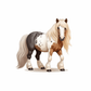Kinder T-Shirt Pony