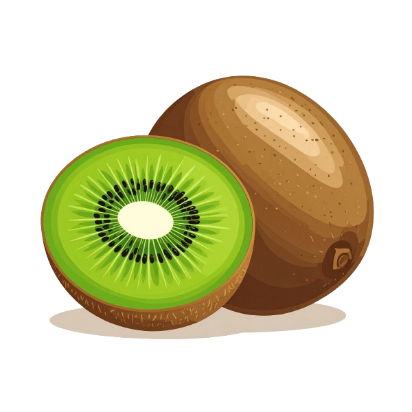 Dekokissen-Set Realistische Kiwi