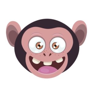 Kinder T-Shirt Monkey 5