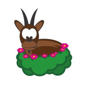 Kinder T-Shirt Kleine Alpziege