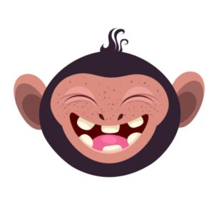 Kinder T-Shirt Monkey 3
