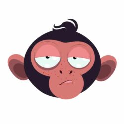 Kinder T-Shirt Monkey 9