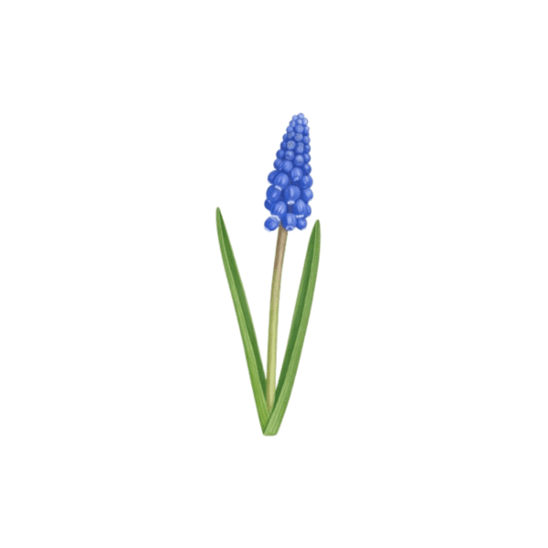 Kinder T-Shirt Realistische Blume