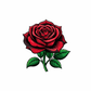 Dekokissen-Set Day of Dead Tattoo Rose