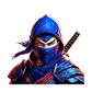 Turnbeute Blue Ninja