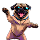 Turnbeutel Hund mit Sonnebrille