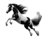 Turnbeutel Tinker Horse