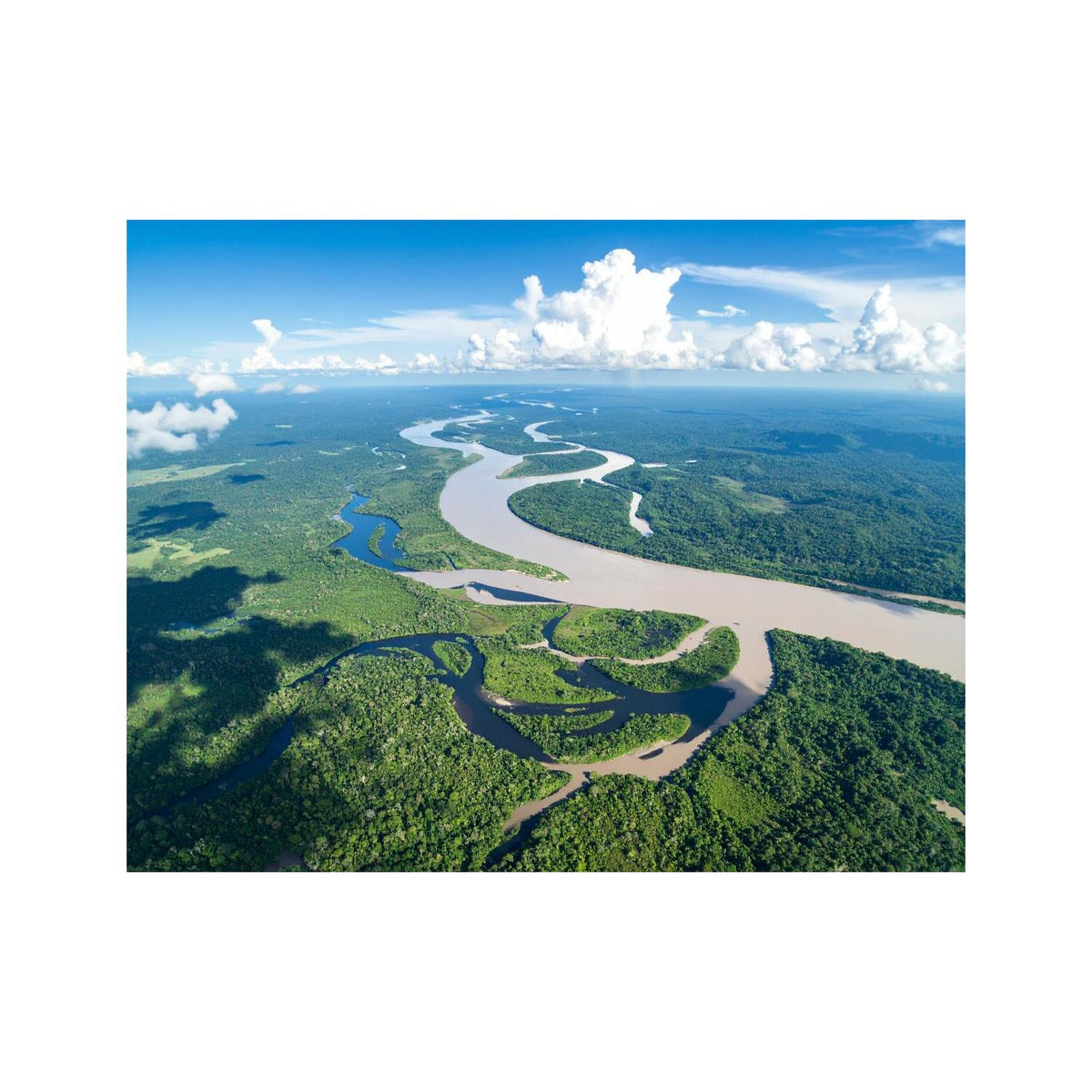 Dekokissen-Set Amazonas Fluss 1