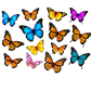 Turnbeutel wunder Schmetterling-Schwarm 3