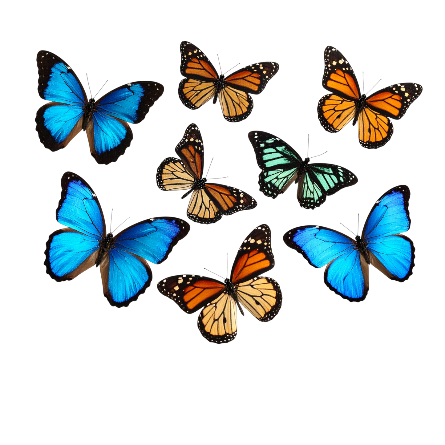 Schulrucksack-Set realistischer Schmetterling Schwarm