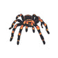 Schulrucksack-Set Spider