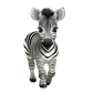 Baby Body cute Baby Zebra
