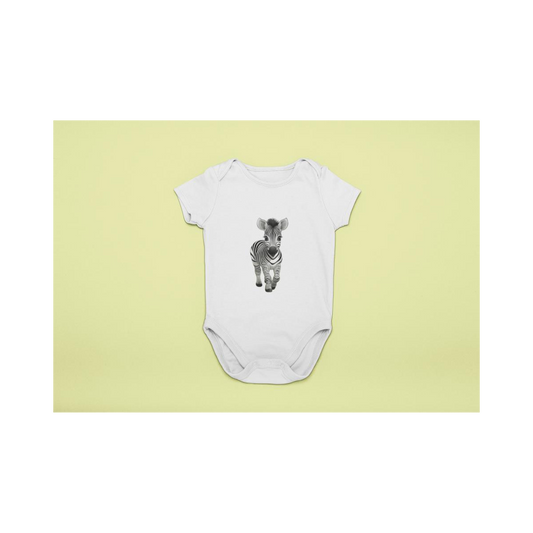 Baby Body cute Baby Zebra