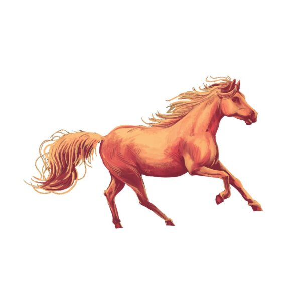 Baby Body comic Horse