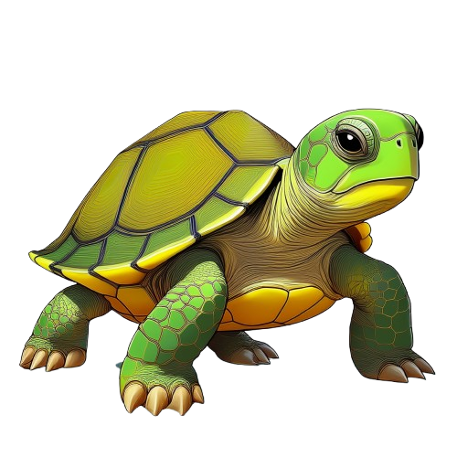 Baby Body süsse Schildkröte