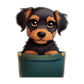 Baby Body Dog in Pocket