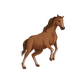 Baby Body realistic Horse Thunder