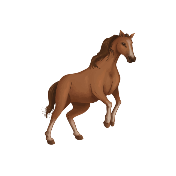 Baby Body realistic Horse Thunder