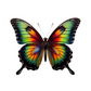 Baby Body farbiger Schmetterling